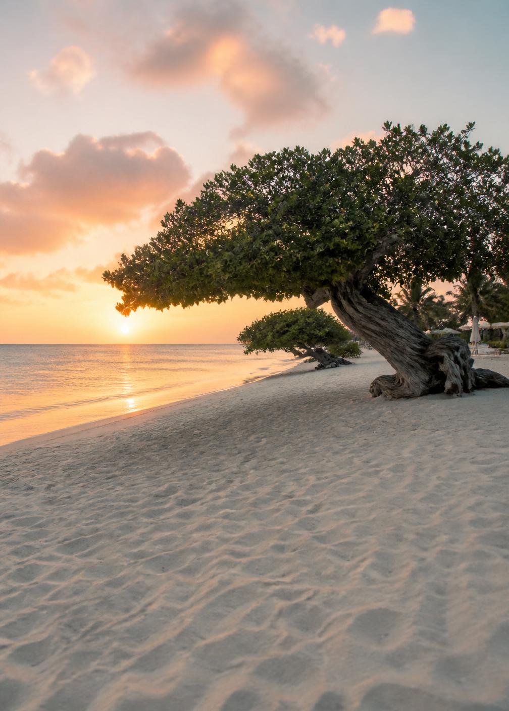 Aruba