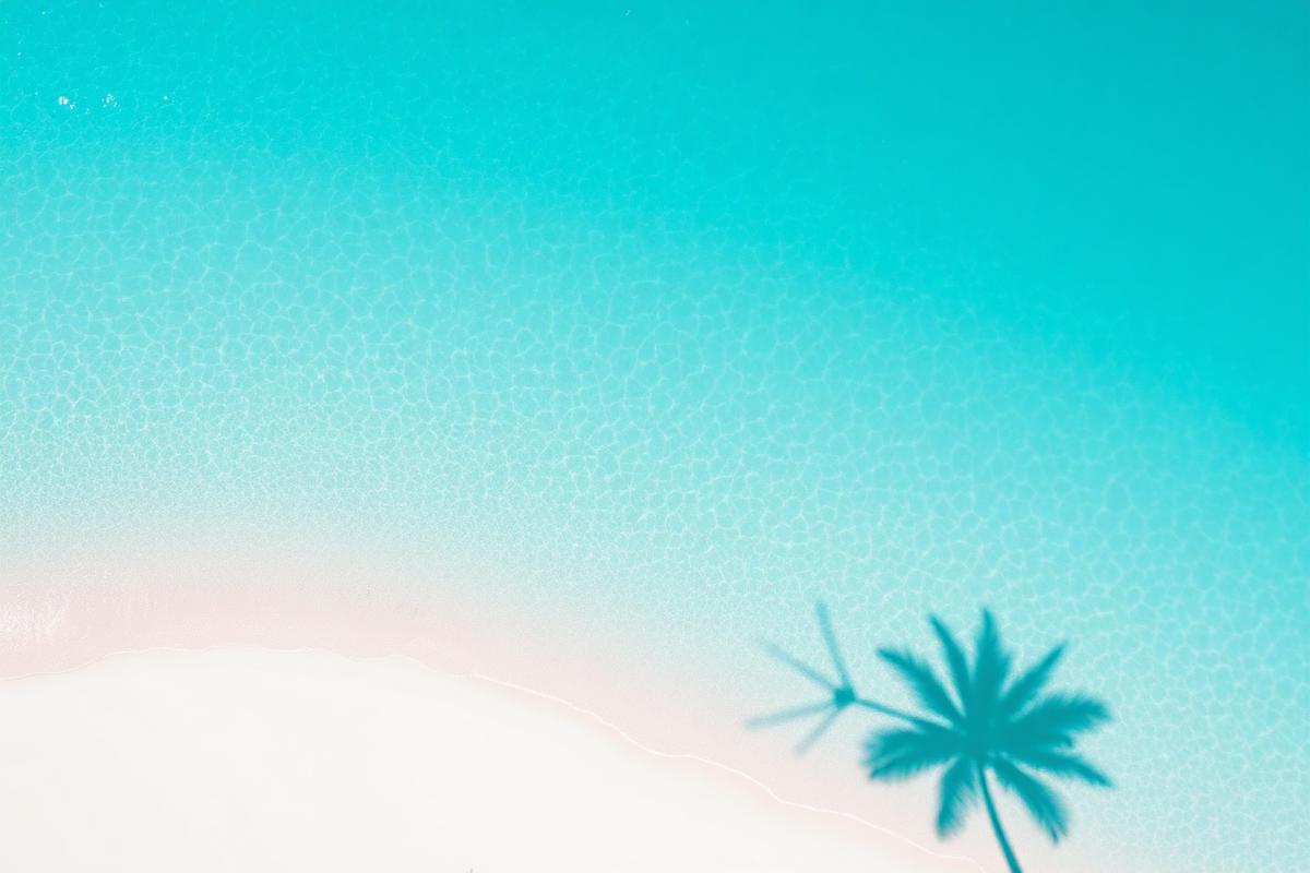 Turquoise water meeting white sand with a single palm shadow